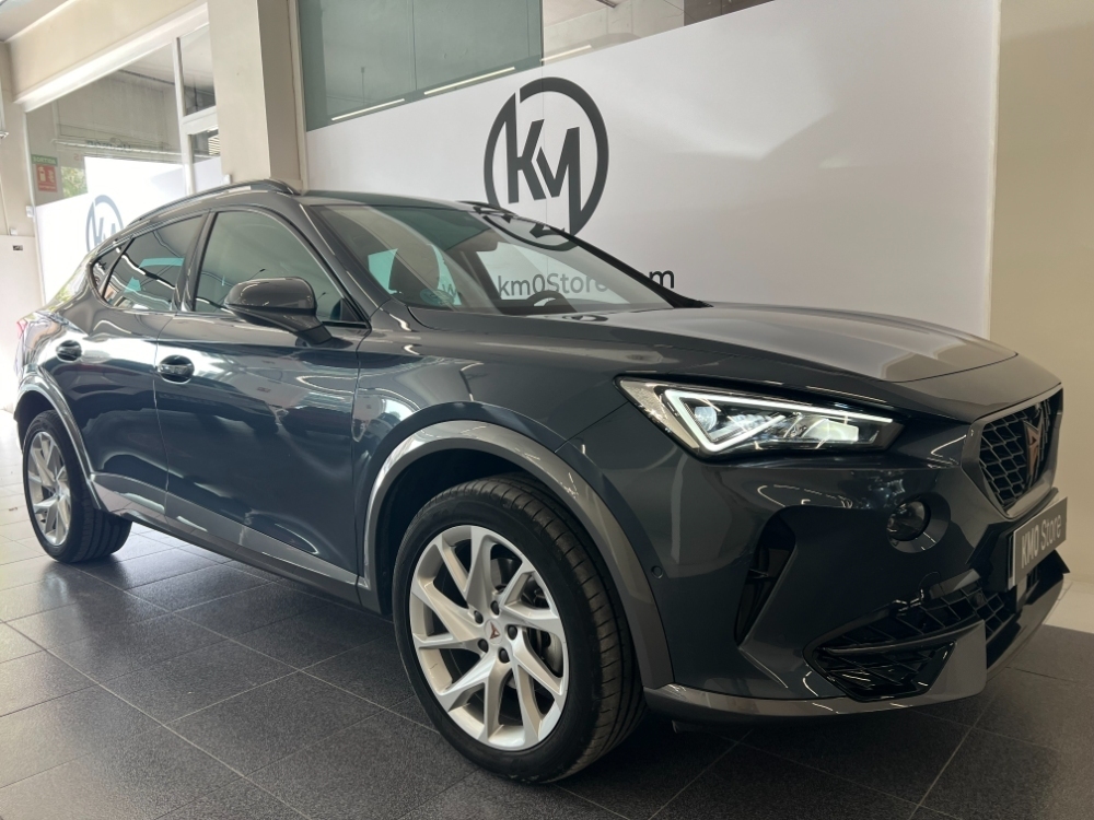 Cupra Formentor 1.5 TSI 110 kW foto 3